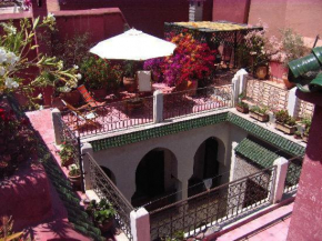 Nadir Home